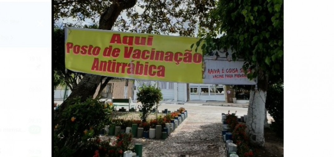 Dia D da Vacinação Antirrábica em Areia Branca Garante Saúde e Segurança para Cães e Gatos
